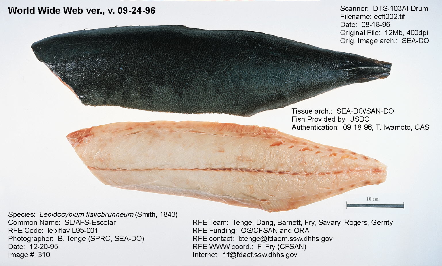 Escolar What Is Escolar Escolar Taste Escolar Recipe