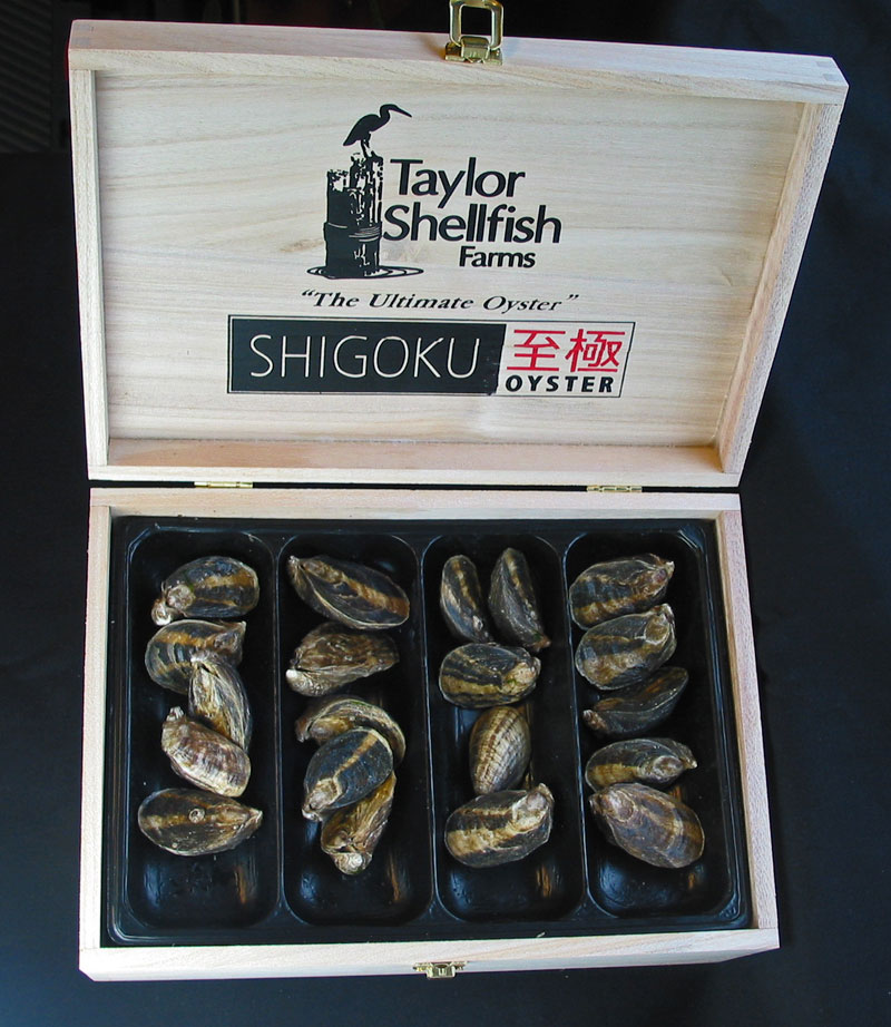 Shigoku Oysters Chefs Resources