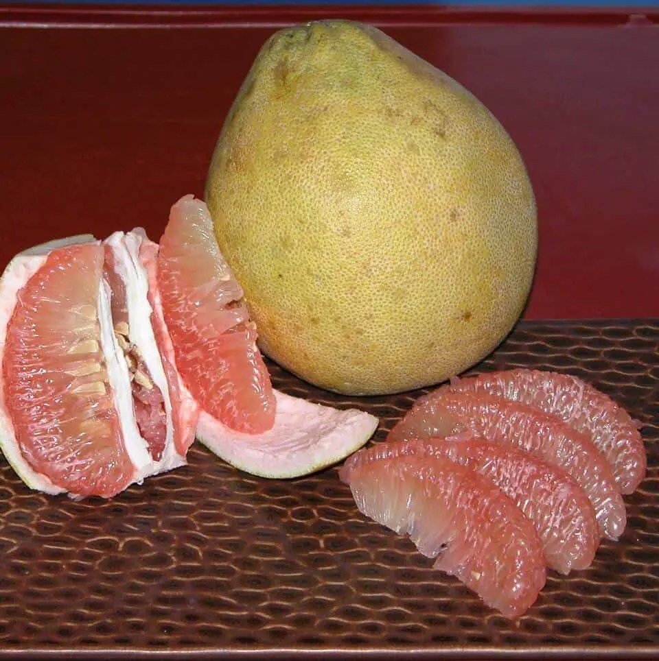 Peeling Pomelo (Suha Fruit) Chef's Pencil