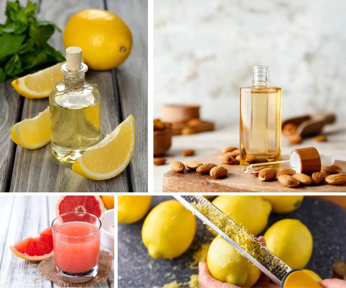 7 Substitutes for Lemon Extract Chef's Pencil