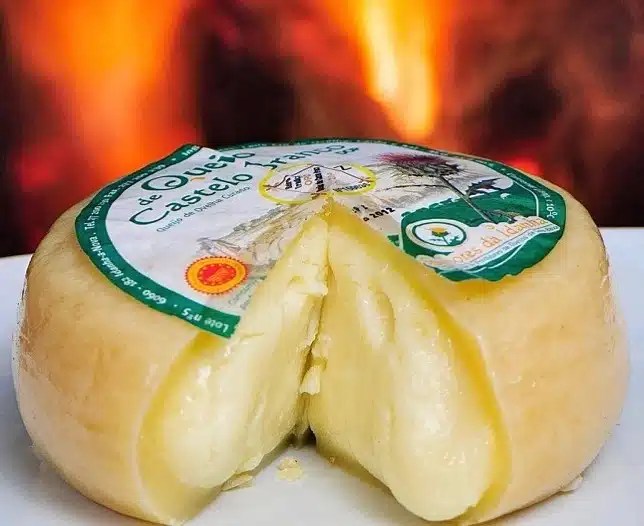 Top 10 Most Famous Portuguese Cheeses Chef's Pencil