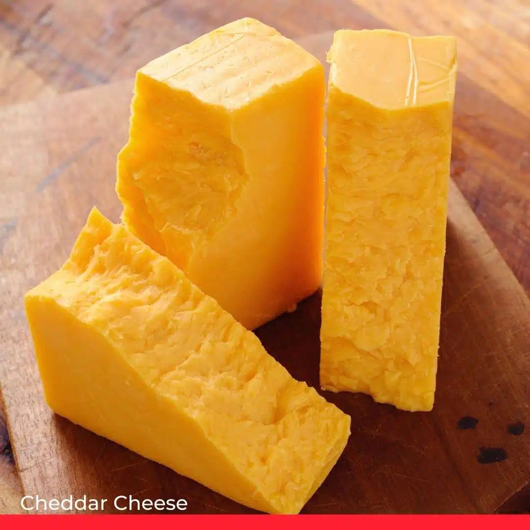 8 Excellent Oaxaca Cheese Substitutes Chef's Pencil