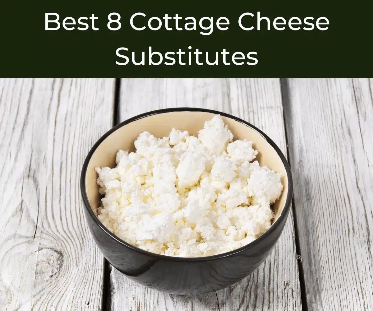 Cottage Cheese Made From Goat's Milk