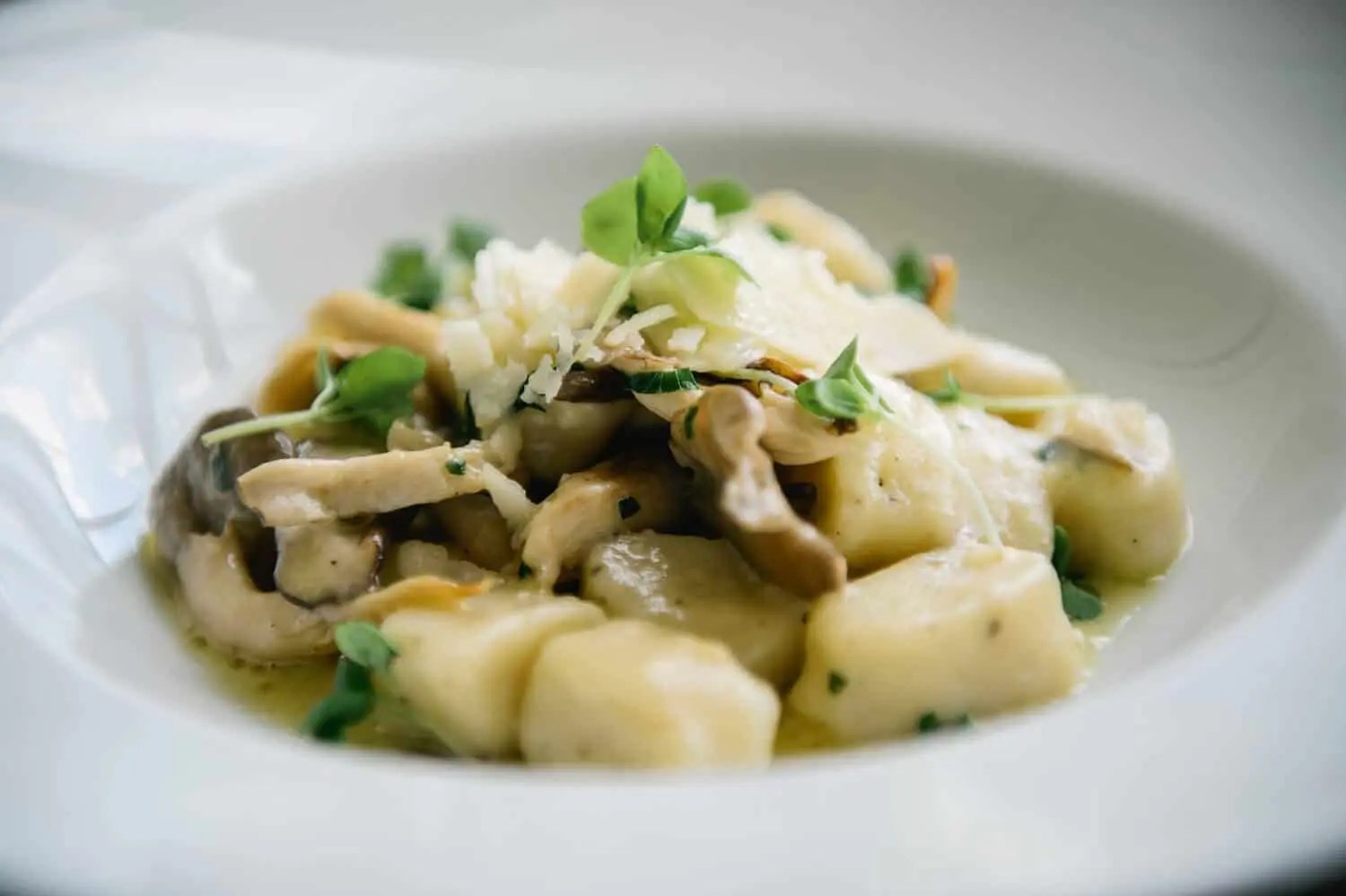 Wild Mushroom & Truffle Gnocchi Recipe by Chef Rodney Murillo Chef's