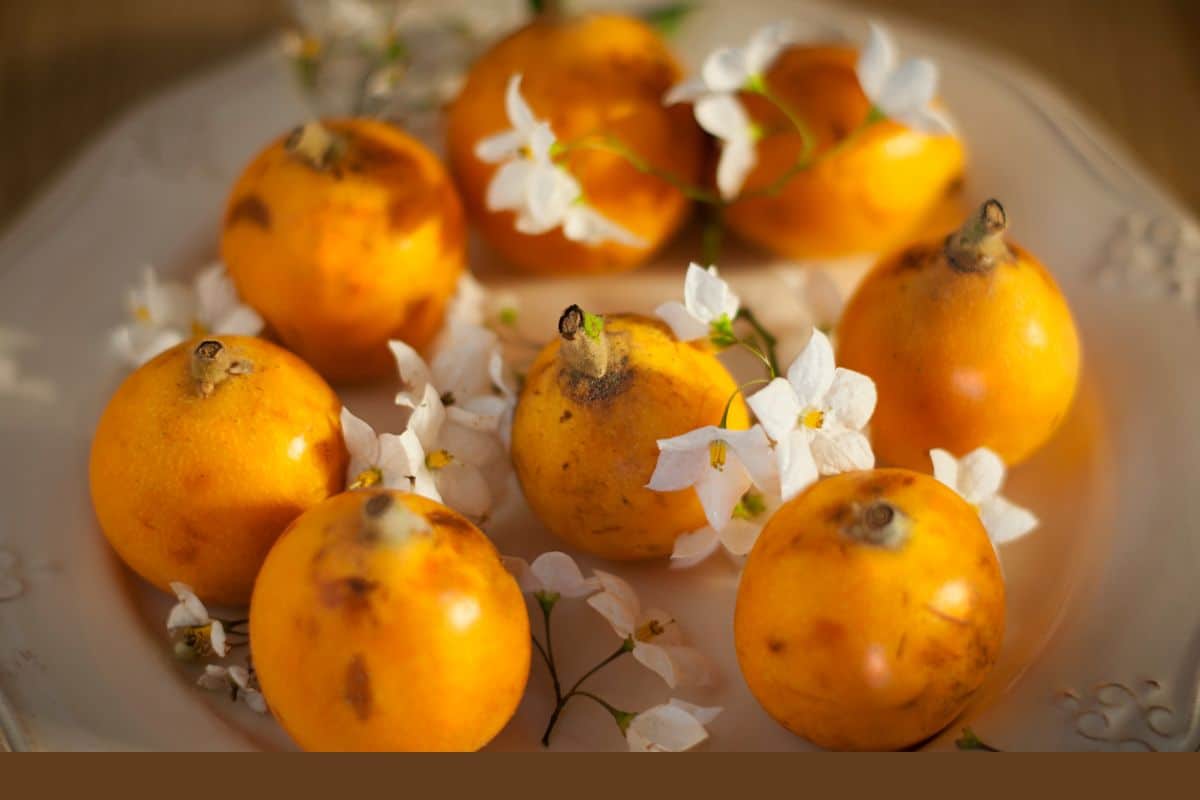 The 10 Most Popular Salvadoran Fruits Chef's Pencil