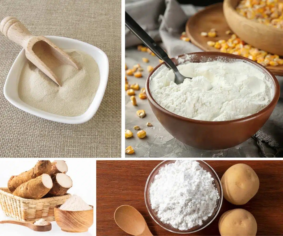 6 Excellent Tapioca Flour Substitutes Chef's Pencil