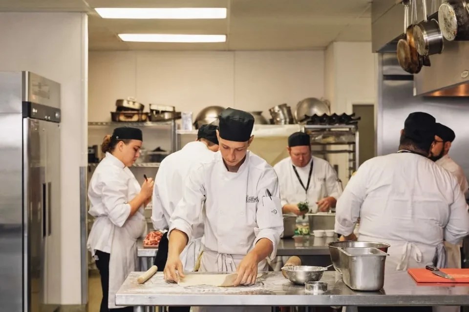 Top 12 Culinary Schools in Texas Chef's Pencil