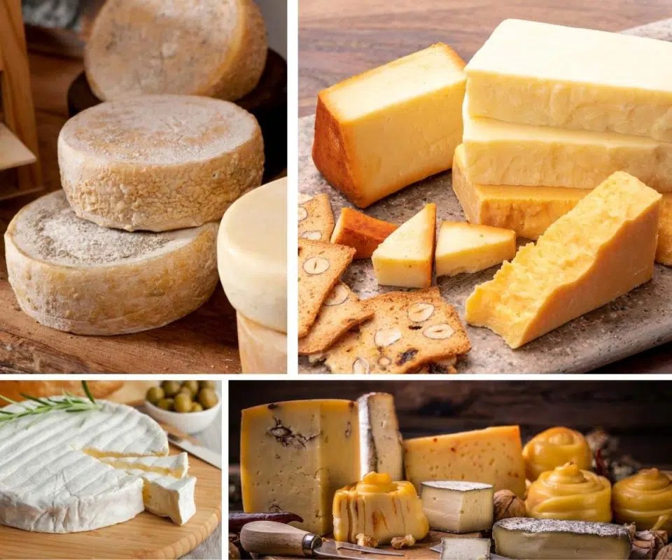 16 Most Popular & Tasty Irish Cheeses Chef's Pencil