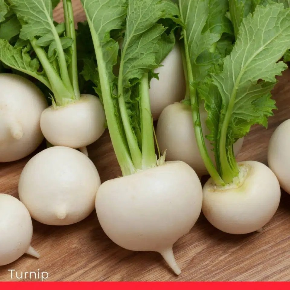 What's the Best Celery Root Substitute? Chef's Pencil