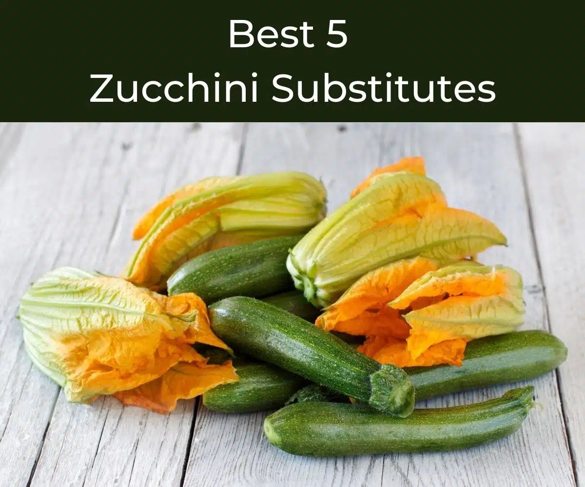 Best 5 Zucchini Substitutes Chef's Pencil