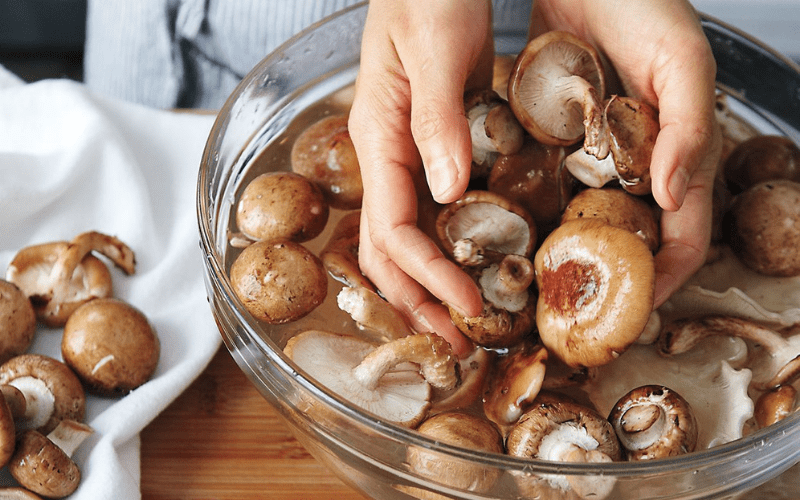 Do Mushrooms Go Bad? How to Store Mushrooms?