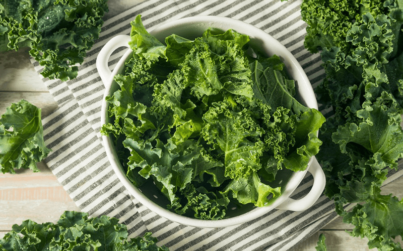 Does Kale Go Bad? How Long Does Kale Last? Chefsresource