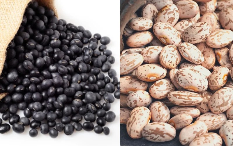 Pinto vs Black Beans Which One Is Better? Chefsresource