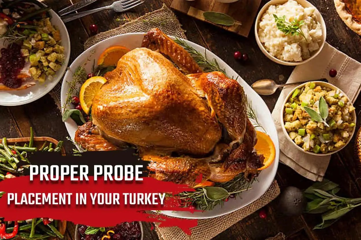 How to Place Proper Probe in Turkey ChefsTemp