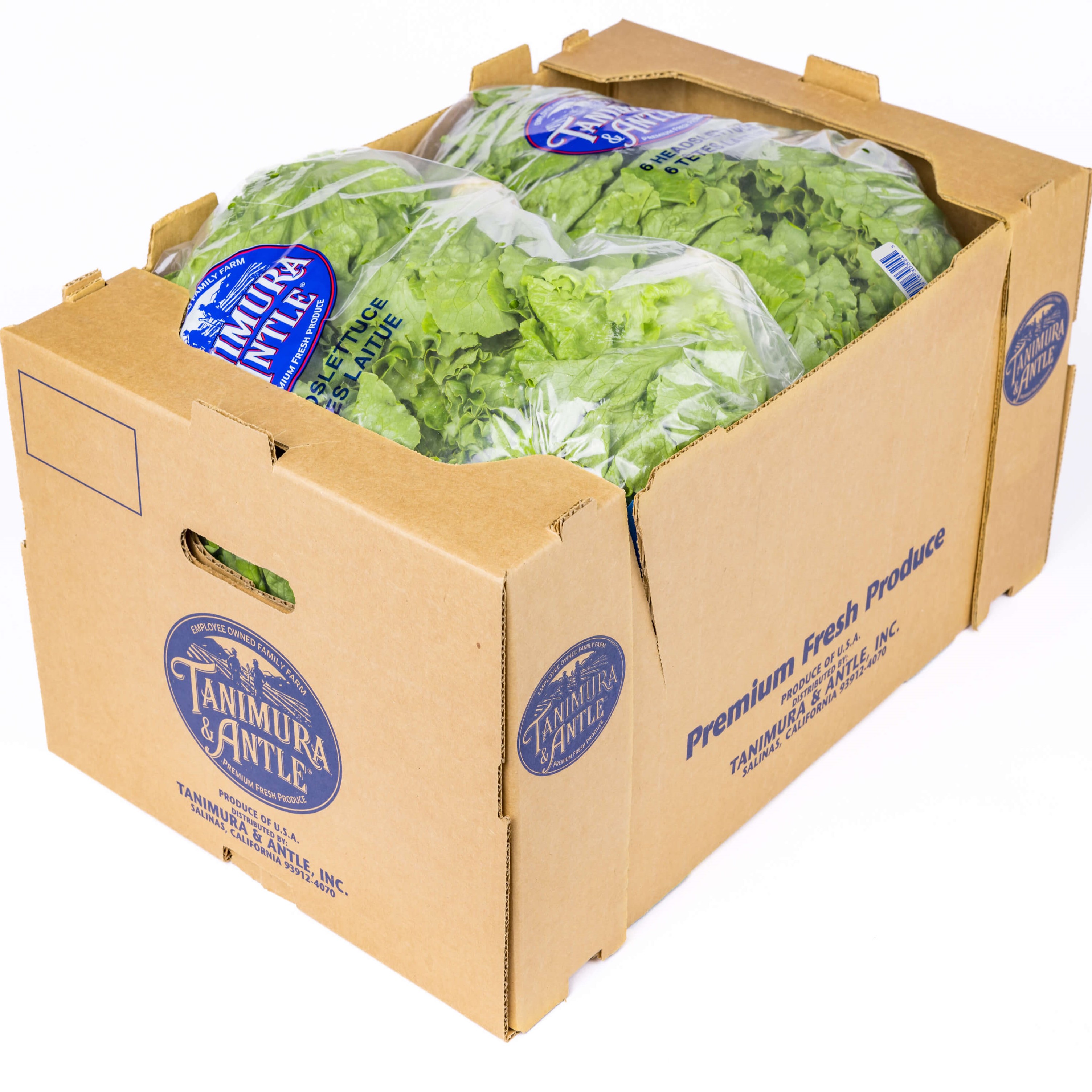 TA BAG GREEN LEAF LETTUCE US Foods CHEF'STORE