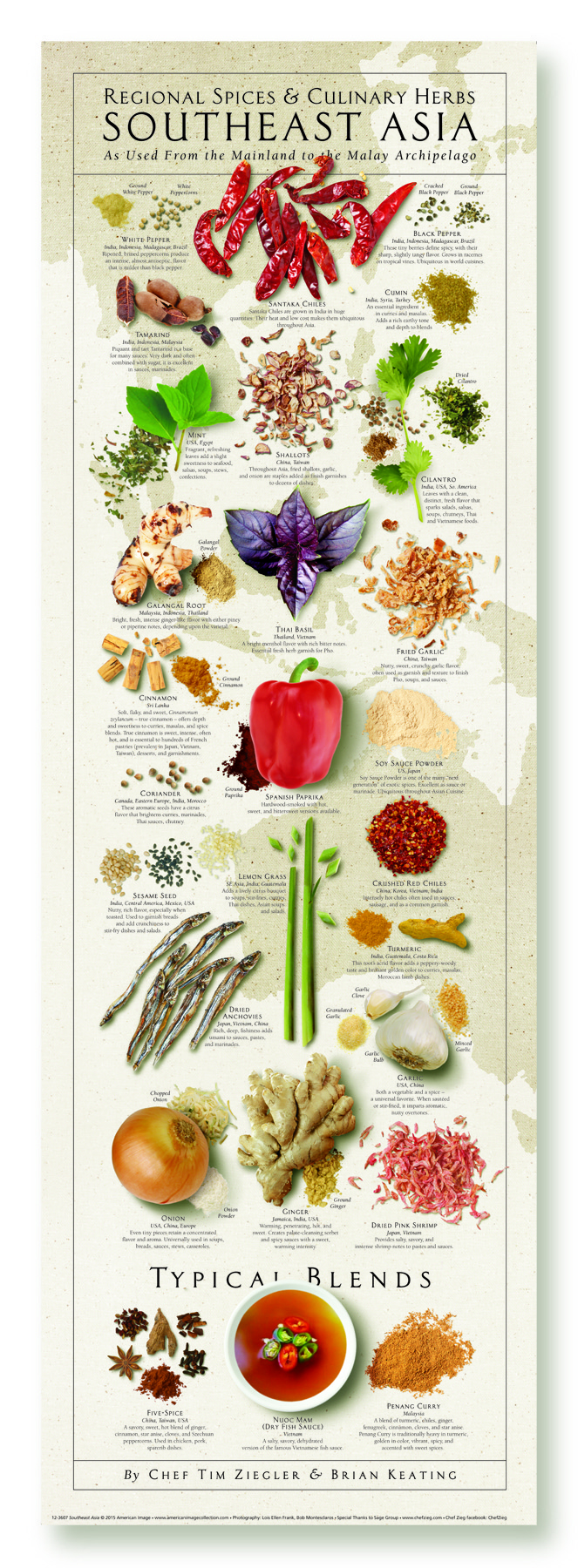 Southeast Asia Regional Spices & Culinary Herbs Print Chef Zieg