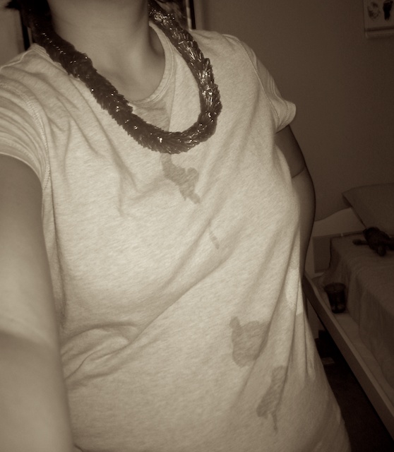 How to remove Baby Spit up stains Chella's Common Cents