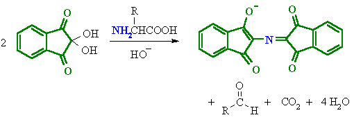 Tests for Amino Acids and Proteins TheBiochemEffect.