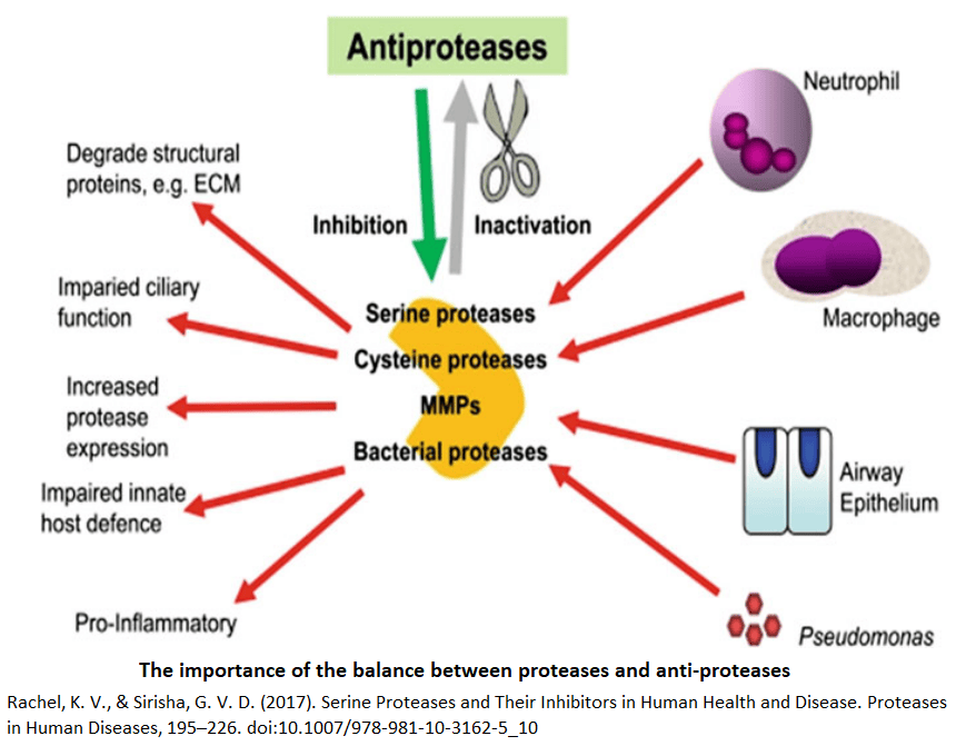 Serine Proteases Inhibitors Library