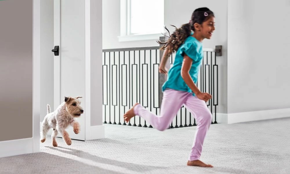 Chem Dry Carpet Cleaning World S Leading Cleaner