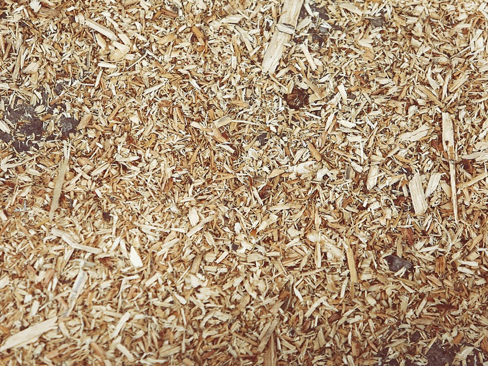 Will Mulch Around Your House Attract Termites? Chem Free