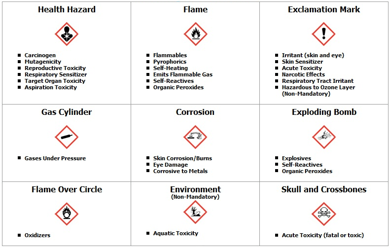 What’s The Function Of A Protection Information Sheet? The Scientist Spot