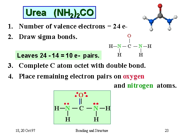 Nh2 2co Lewis Structure