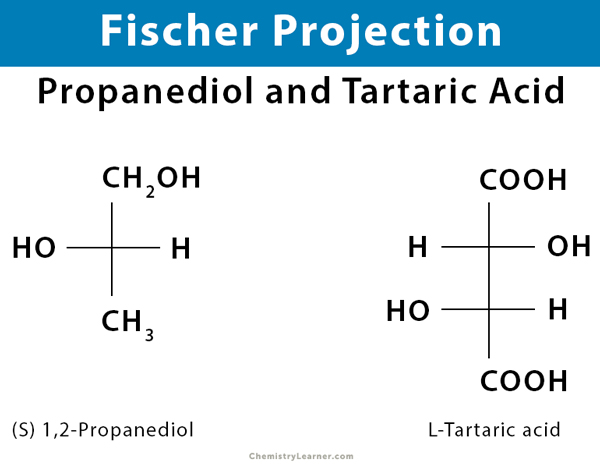 Fischer Projection Definition, Illustration, and Examples