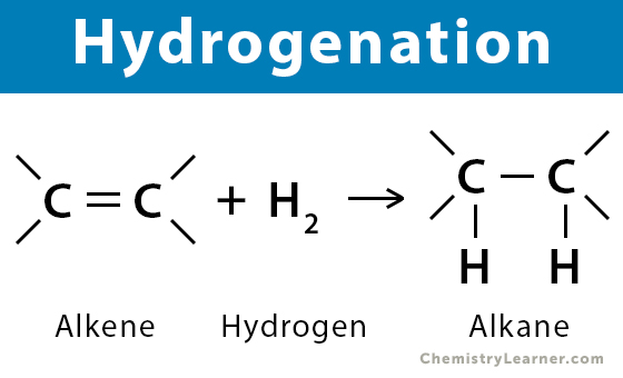 Hydrogenation: Definition, Examples, and Applications