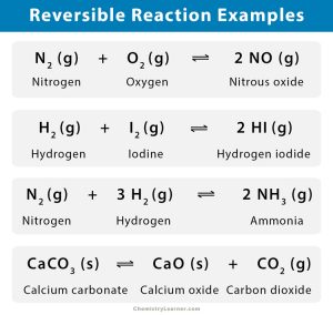 Reversible Reaction: Definition, Conditions, and Examples