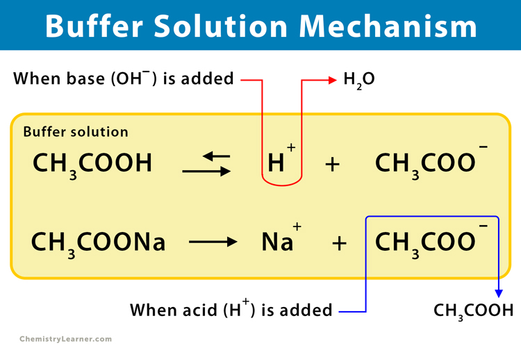 Buffer Solution Definition, Examples, and Preparation