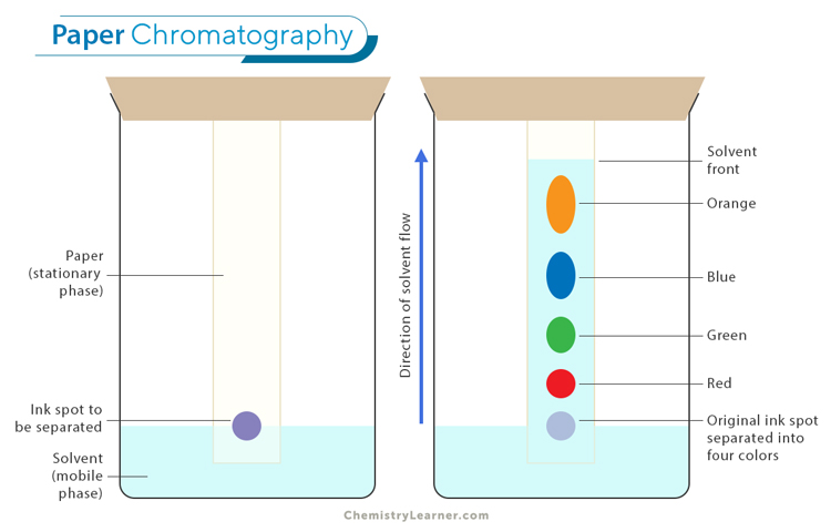 Chromatography: Definition, Principles, Types, and Applications