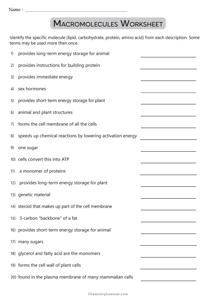 Free Printable Macromolecules Worksheets