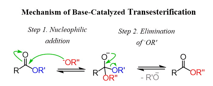 Transesterification Chemistry Steps