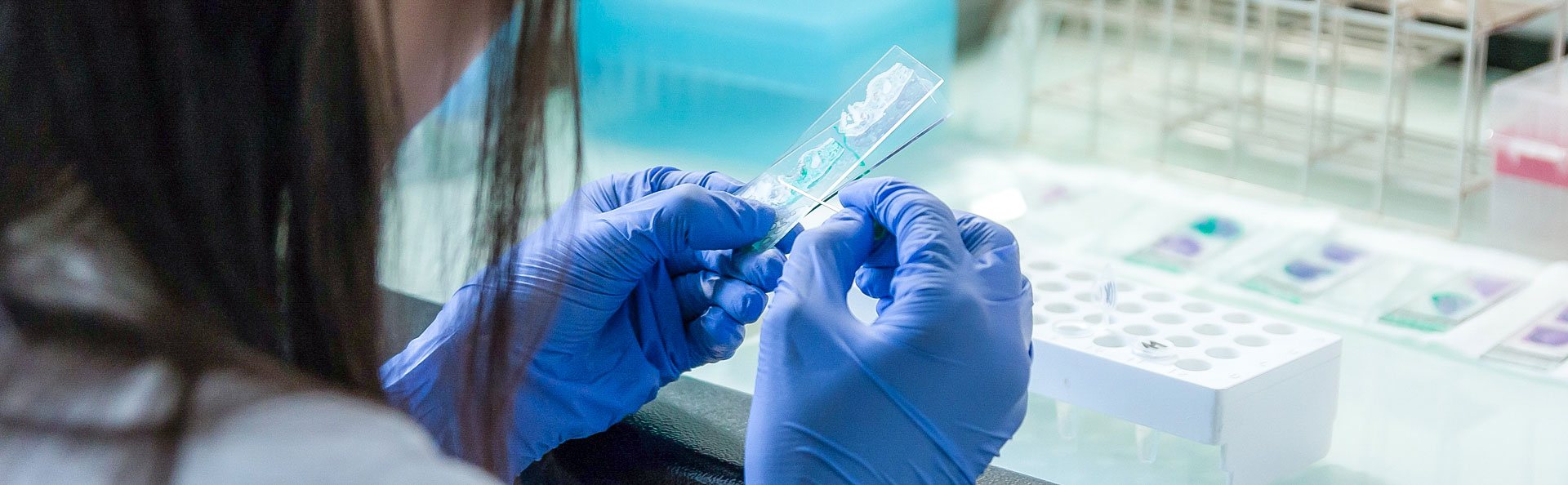 Chemtest Easy Life, Easy Test.