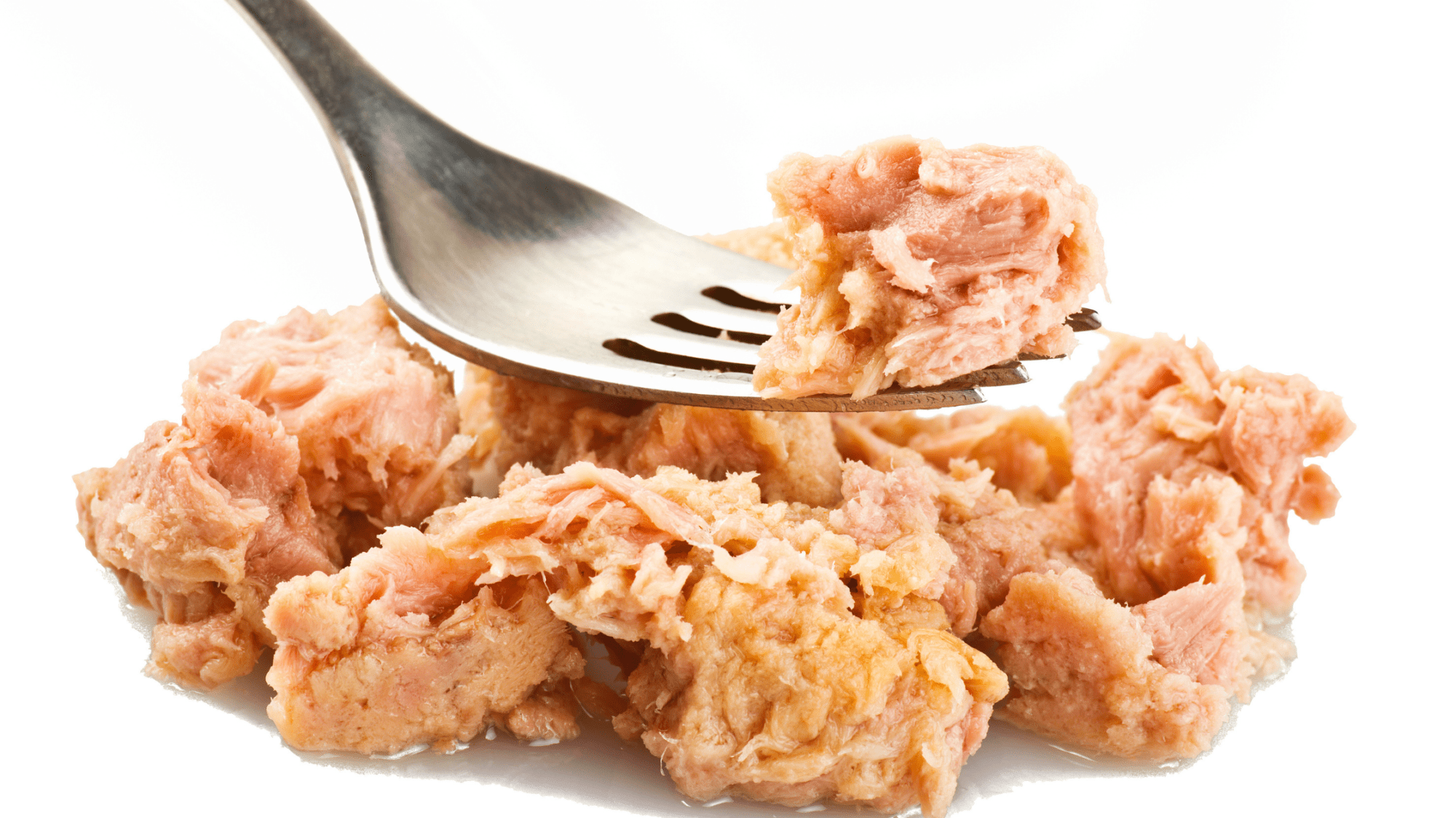 7 Health Benefits of including Canned Tuna in your diet Chenab Gourmet