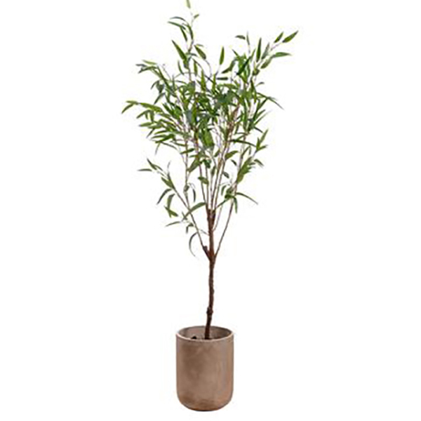 6'5" Silk Bamboo Tree Cheri Davis