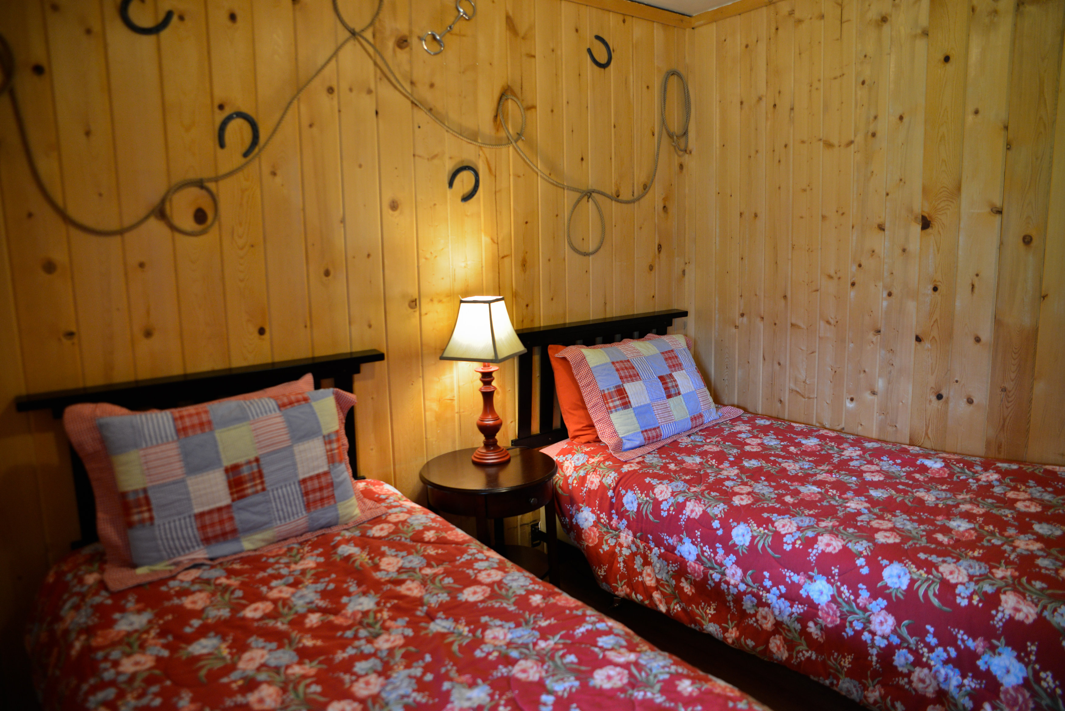 Colorado Cozy Meadow Cabin Rental 2 Bedrooms & Fireplace Sleeps 4