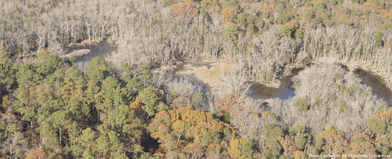 Partners Conserve Land Along the Nanticoke Chesapeake Conservation