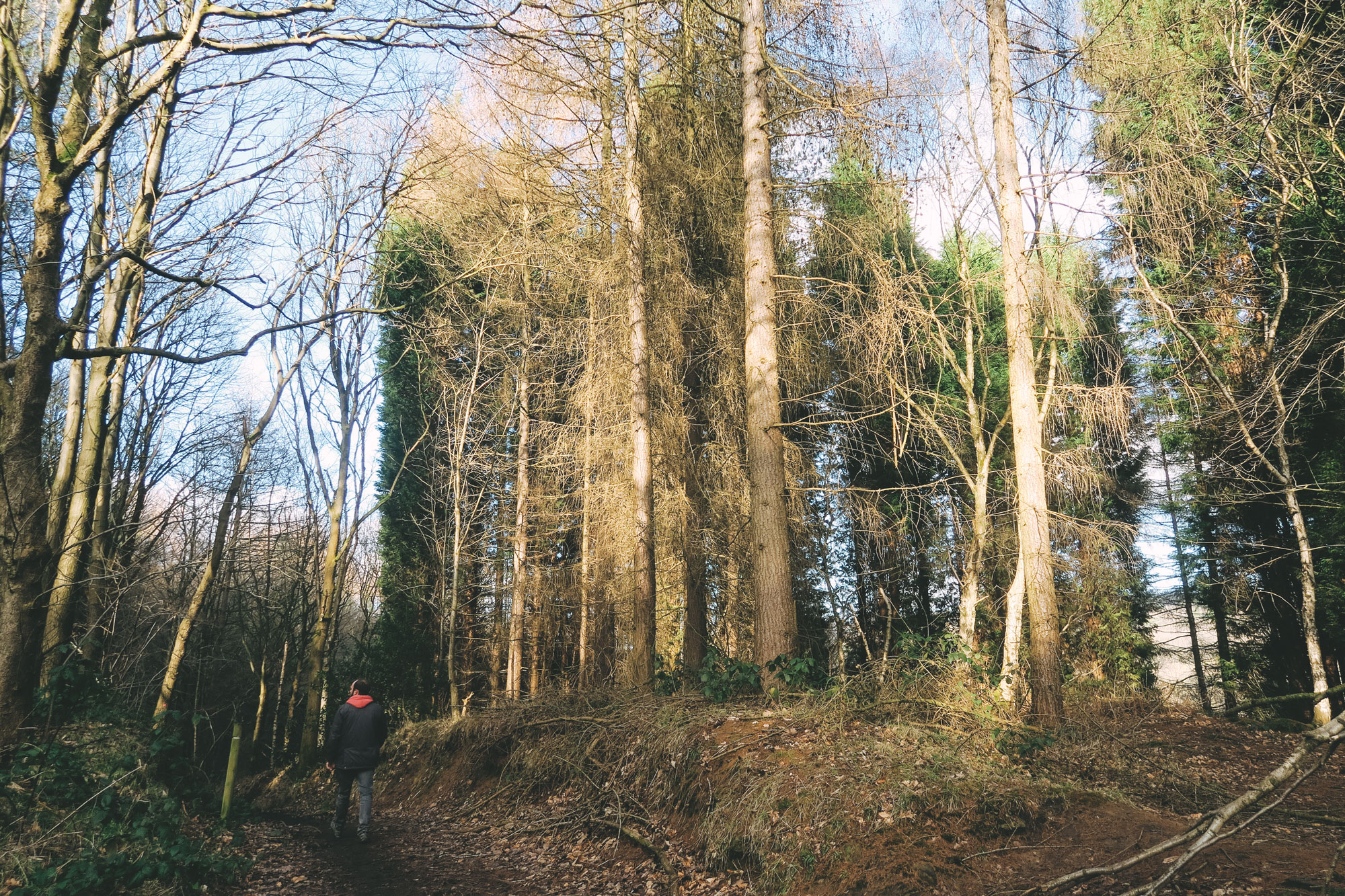 The Abandoned House, Shining Cliff Woods Chesca is Lost
