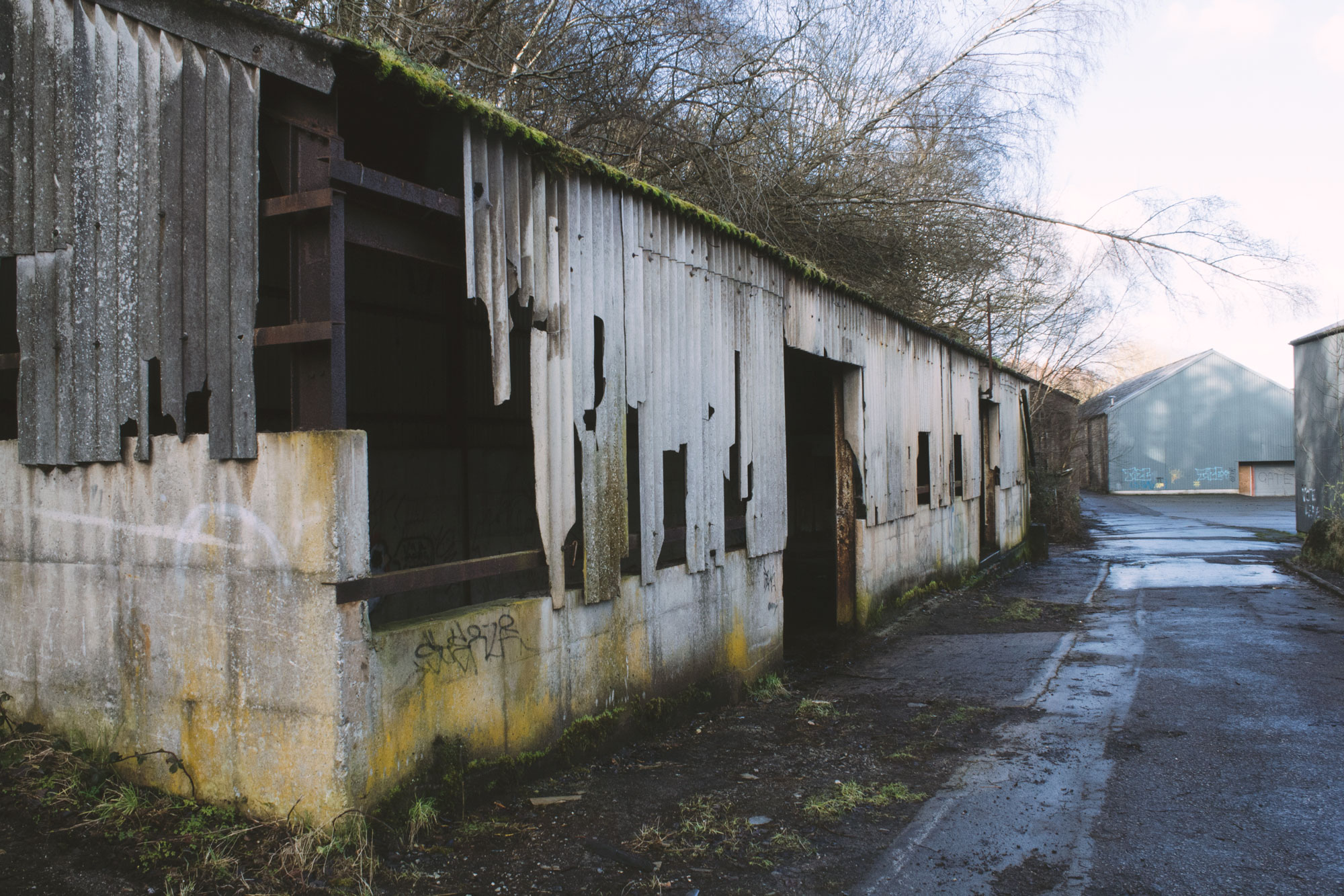 The Abandoned House, Shining Cliff Woods Chesca is Lost
