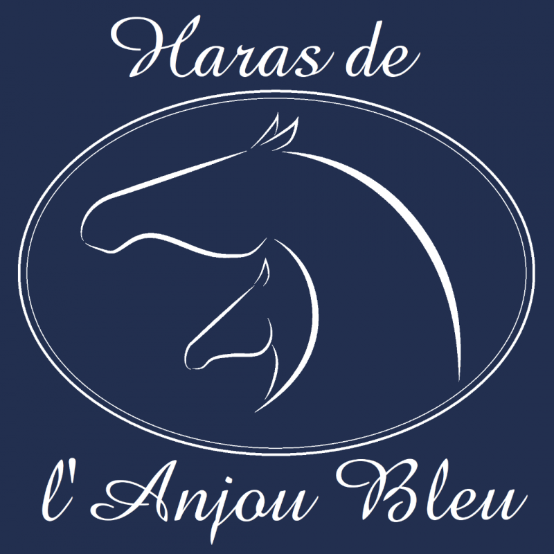 Haras de l'Anjou Bleu Cheval référence