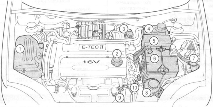 View of the engine compartment (Chevrolet Aveo T250 2006-2011: Manual