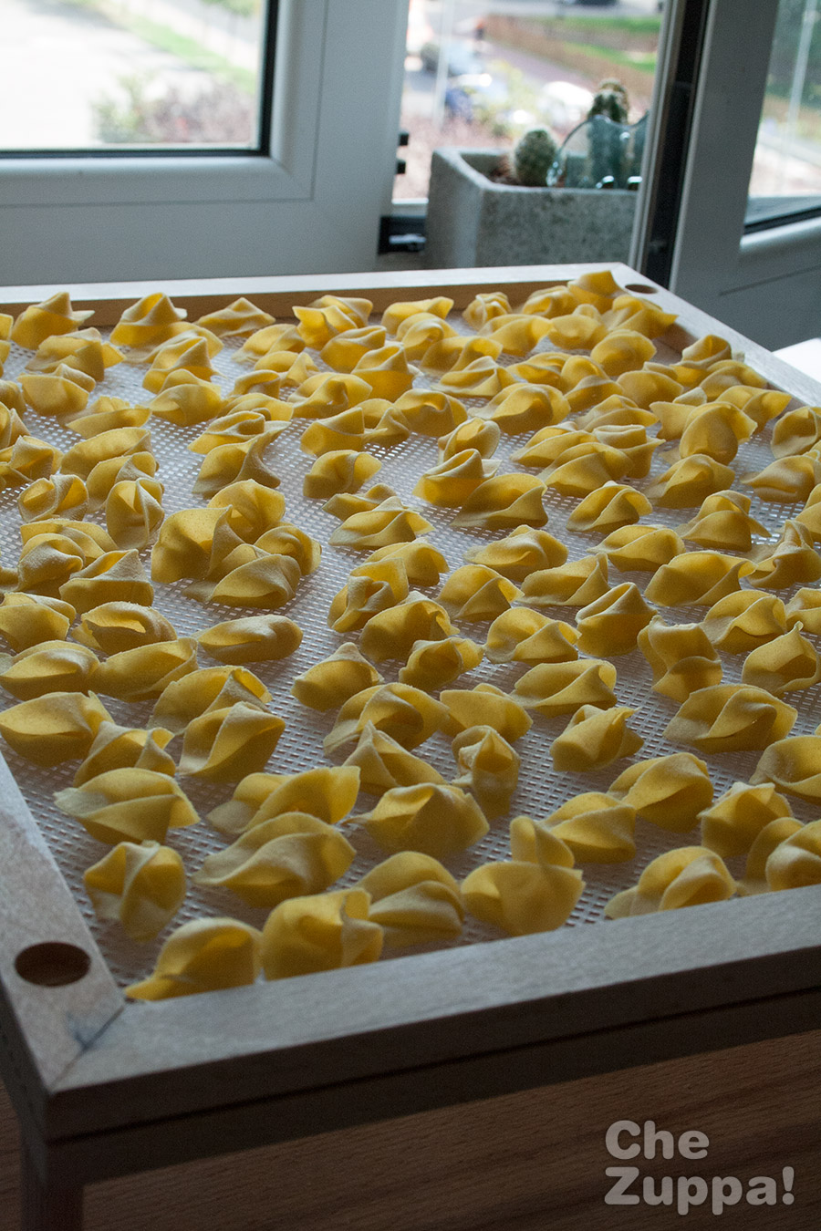 Pasta fresca all'uovo con sugo di peperoni Chezuppa!