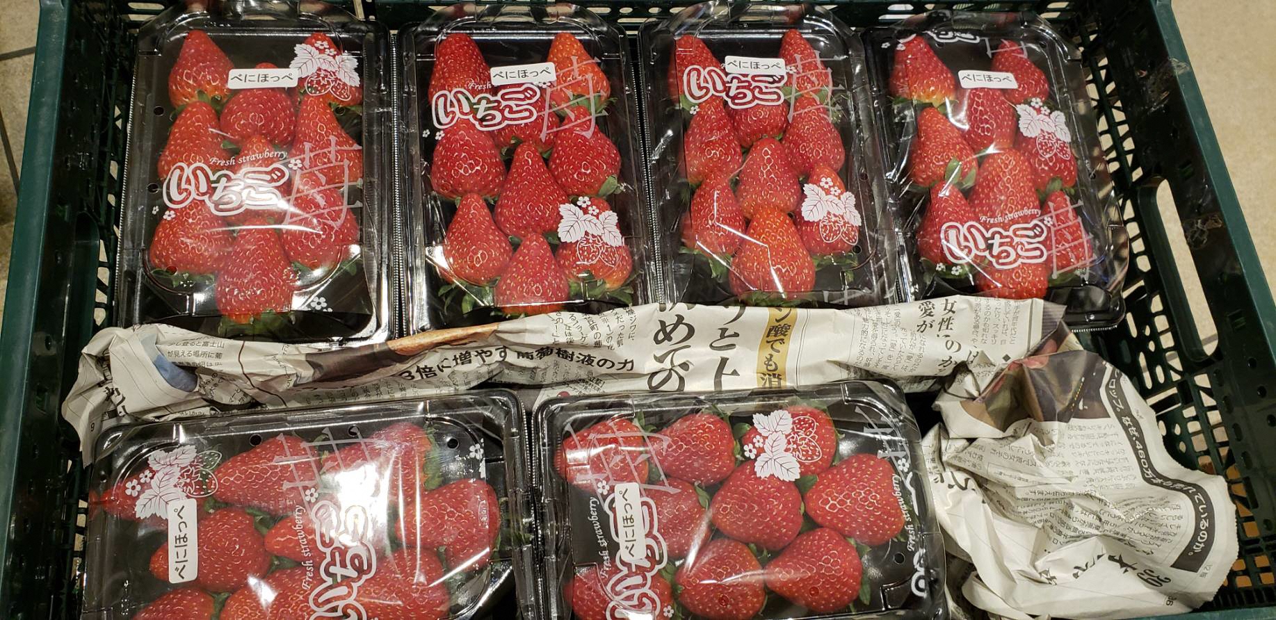 「ちばのいち with TEAM 黒潮ラバー」開催！！＠JR千葉駅＜12/17(木曜)～19(日曜)＞ 千葉市