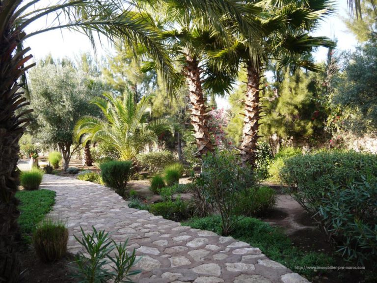 Countryside Essaouira property for sale 5 bedroom luxury villa