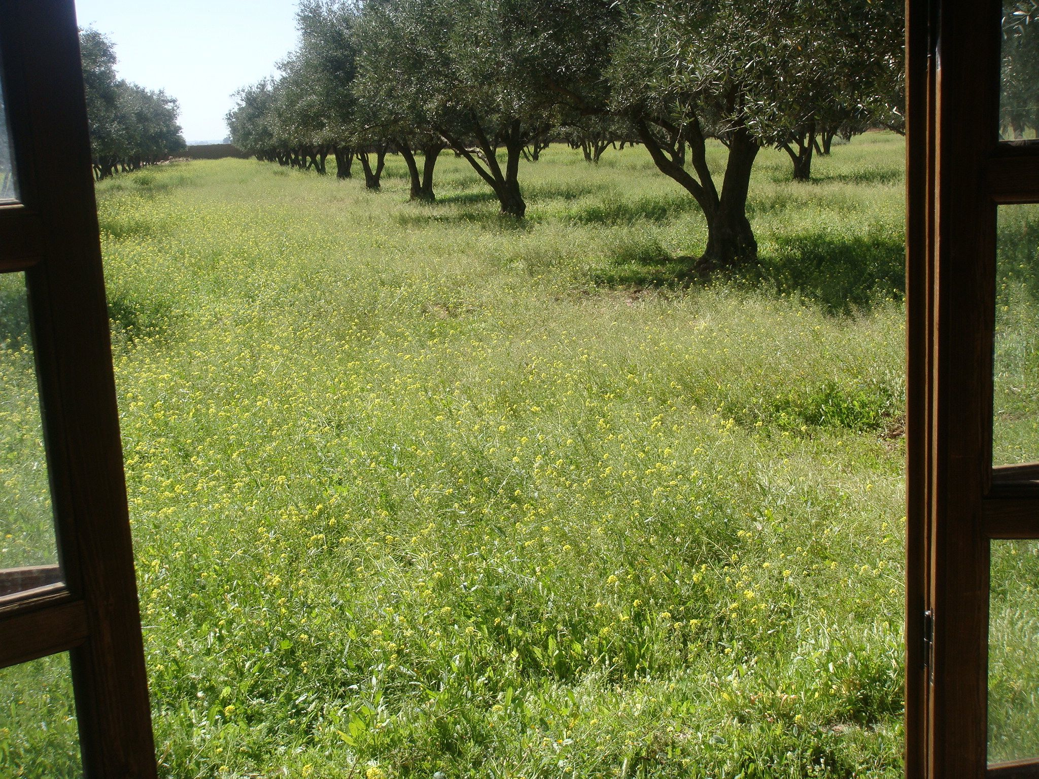 Totally unique Marrakech property for sale Magical country villa and farm