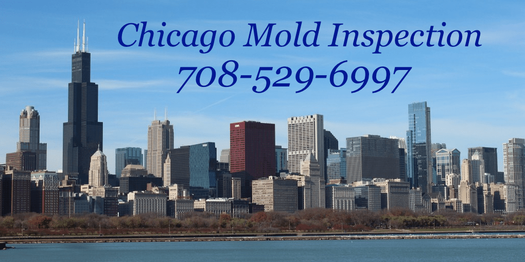 Chicago Mold Inspection