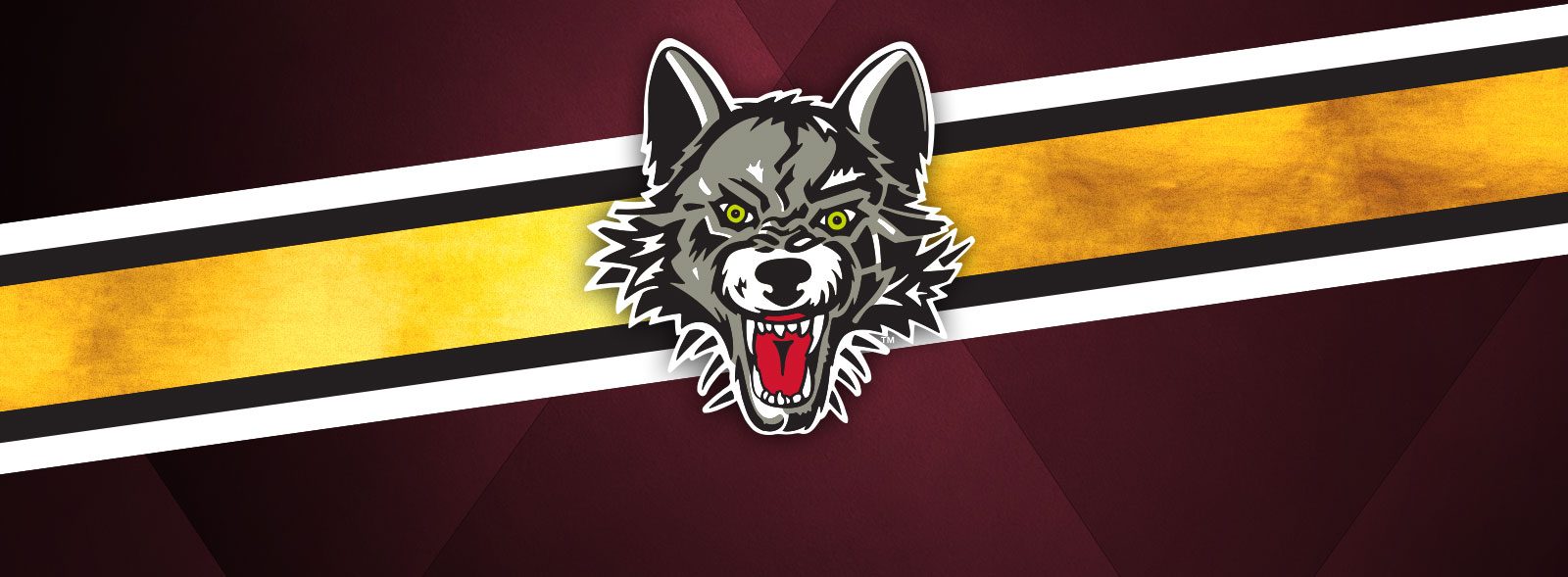 Donation Request Policy Illinois Charities Chicago Wolves