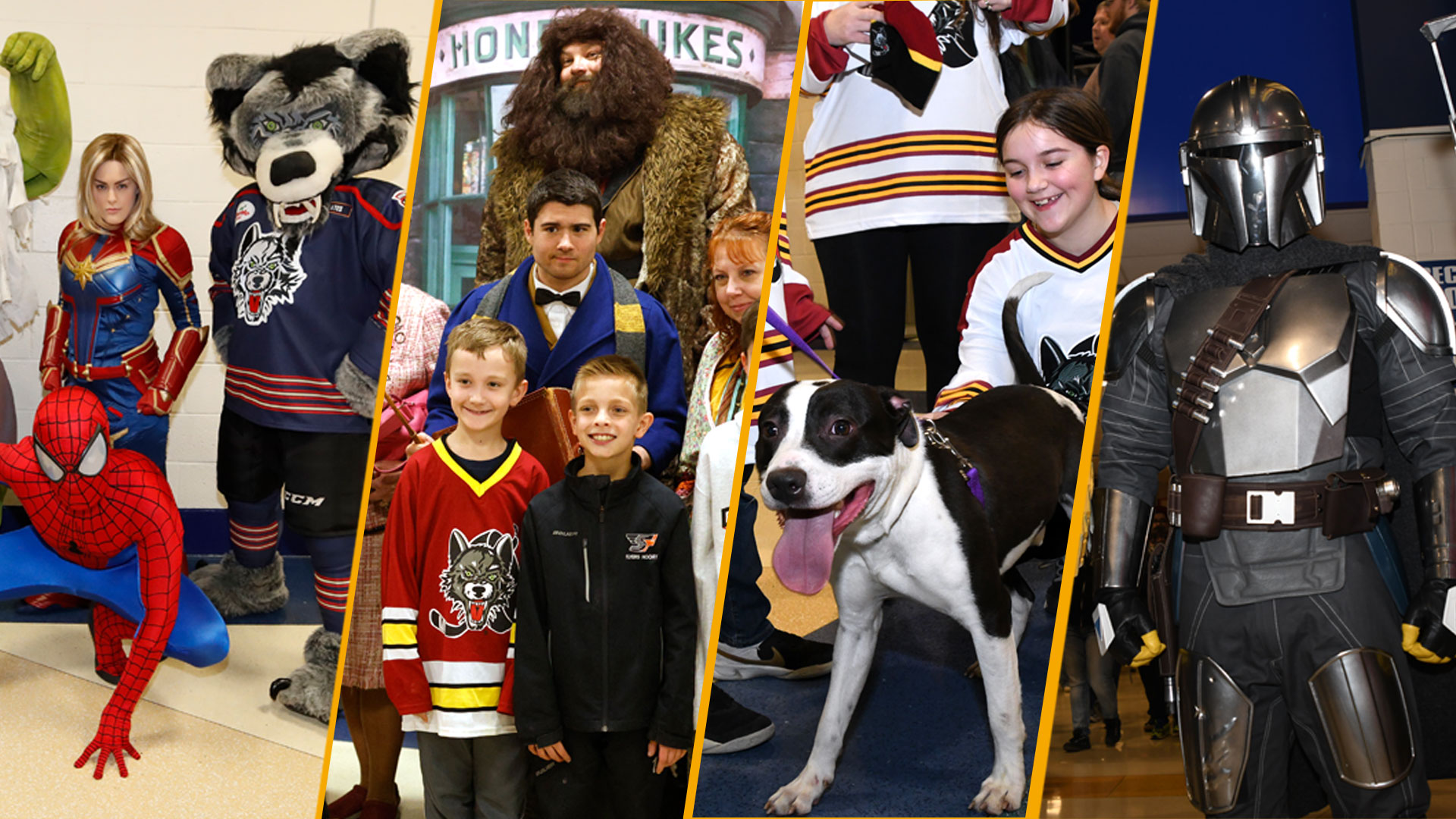 Chicago Wolves Schedule 2024 Chicago Wolves unveil 202223 Promotional Schedule Chicago Wolves